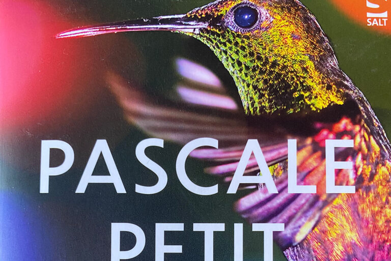Cover detail of hummingbird: My Hummingbird Father by Pascal Petit